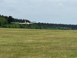 do_17_lq