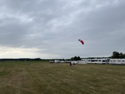 do_29