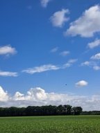 mo_11_lq